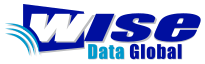 Wise Data Global